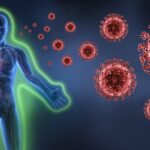 Body immune system against cancer