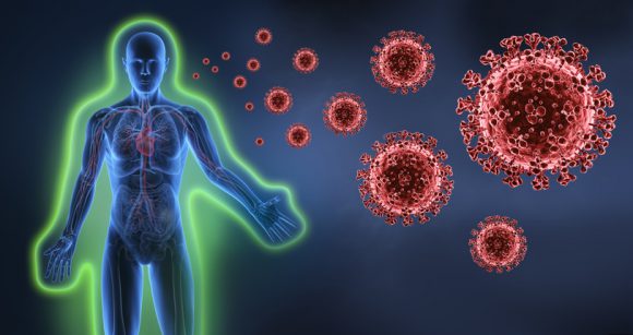 Body immune system against cancer